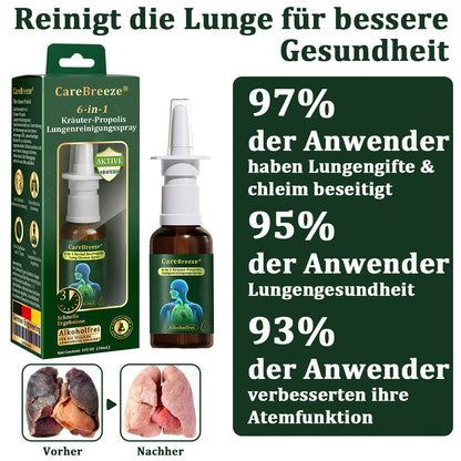 ⚡🇩🇪 Offizieller Store：CareBreeze® 6-in-1 Kräuter-Propolis Lungenreinigungsspray-Feinzerstäubung(⚡Sofortige Linderung🫁Langzeitwirkungen)