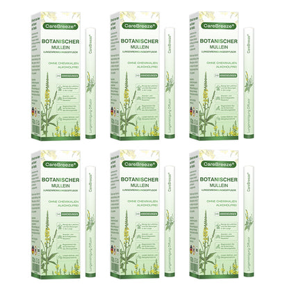 ✅Deutscher Besitz und Betrieb：CareBreeze® Botanischer Mullein Lungenreinigungsdiffusor(💝 LETZTER TAG 70% RABATT 💝)