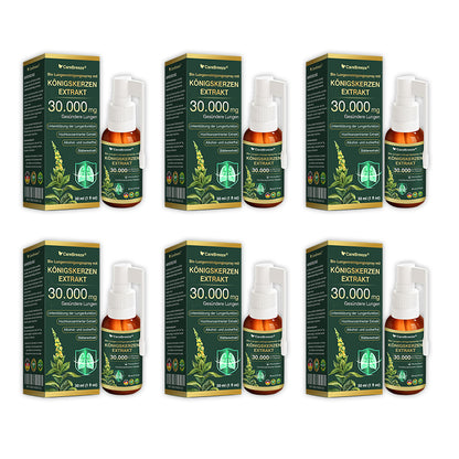 💖✅DE Offizieller Store: CareBreeze® Bio Lungenreinigungsspray mit Königskerzen-Extrakt（👨‍⚕️Wirkt direkt bei COPD, Asthma, chronischer Bronchitis (CB), Atemwegsinfektionen, Lungenkrebs, Sinusitis und anderen Erkrankungen）