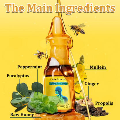 ⚡🐝✅Offizieller Store：CareBreeze® 6-in-1 Kräuter-Propolis Lungenreinigungsspray（👨‍⚕️Gezielte Anwendung bei COPD, Asthma, chronischer Bronchitis, Infektionen der Atemwege, Lungenkrebs und Sinusitis）