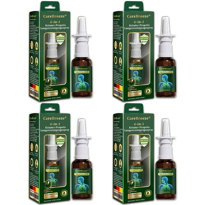 ⚡🇩🇪 Offizieller Store：CareBreeze® 6-in-1 Kräuter-Propolis Lungenreinigungsspray-Feinzerstäubung(⚡Sofortige Linderung🫁Langzeitwirkungen)