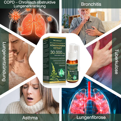 🫁⚡✅DE Offizieller Store: CareBreeze® Bio Lungenreinigungsspray mit Königskerzen-Extrakt（👨‍⚕️Wirkt direkt bei COPD, Asthma, chronischer Bronchitis (CB), Atemwegsinfektionen, Lungenkrebs, Sinusitis und anderen Erkrankungen）