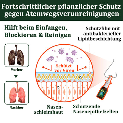 ⚡🇩🇪 Offizieller Store：CareBreeze® 6-in-1 Kräuter-Propolis Lungenreinigungsspray-Feinzerstäubung(⚡Sofortige Linderung🫁Langzeitwirkungen)