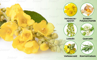 💖✅Deutscher Besitz und Betrieb：Zvoevo® Botanischer Mullein Lungenreinigungsdiffusor (💝 Husten, Keuchen, Atemnot, Auswurf, verstopfte Nase, Bronchitis, Allergiesymptome, Lungenschmerzen 💝)