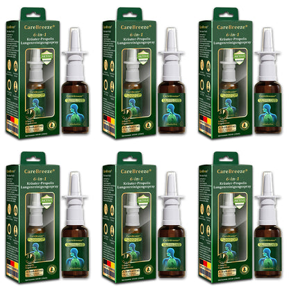 ⚡🇩🇪 Offizieller Store：CareBreeze® 6-in-1 Kräuter-Propolis Lungenreinigungsspray-Feinzerstäubung(⚡Sofortige Linderung🫁Langzeitwirkungen)