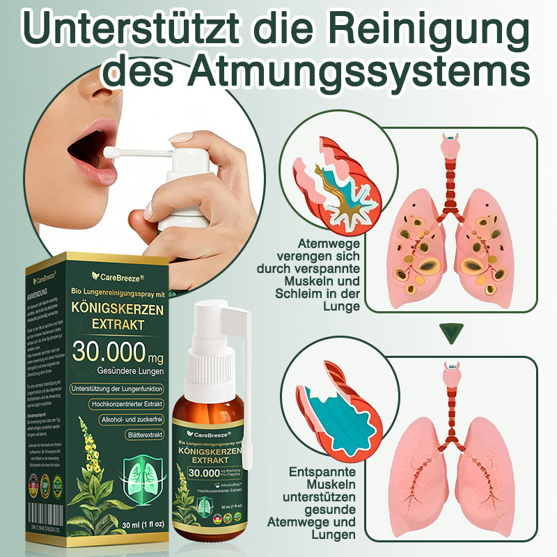 💖✅DE Offizieller Store: CareBreeze® Bio Lungenreinigungsspray mit Königskerzen-Extrakt（👨‍⚕️Wirkt direkt bei COPD, Asthma, chronischer Bronchitis (CB), Atemwegsinfektionen, Lungenkrebs, Sinusitis und anderen Erkrankungen）