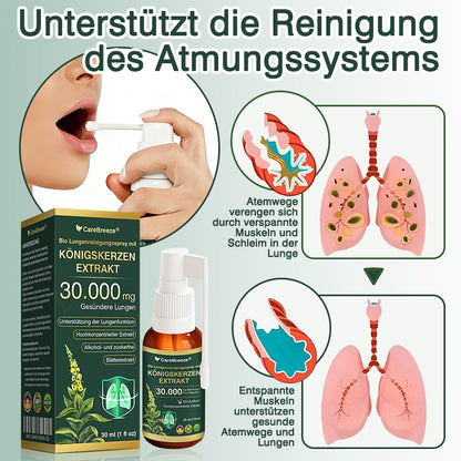 💖✅DE Offizieller Store: CareBreeze® Bio Lungenreinigungsspray mit Königskerzen-Extrakt（👨‍⚕️Wirkt direkt bei COPD, Asthma, chronischer Bronchitis (CB), Atemwegsinfektionen, Lungenkrebs, Sinusitis und anderen Erkrankungen）