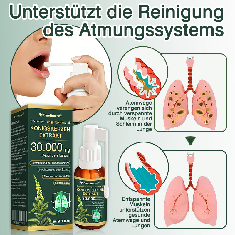 🫁⚡✅DE Offizieller Store: CareBreeze® Bio Lungenreinigungsspray mit Königskerzen-Extrakt（👨‍⚕️Wirkt direkt bei COPD, Asthma, chronischer Bronchitis (CB), Atemwegsinfektionen, Lungenkrebs, Sinusitis und anderen Erkrankungen）
