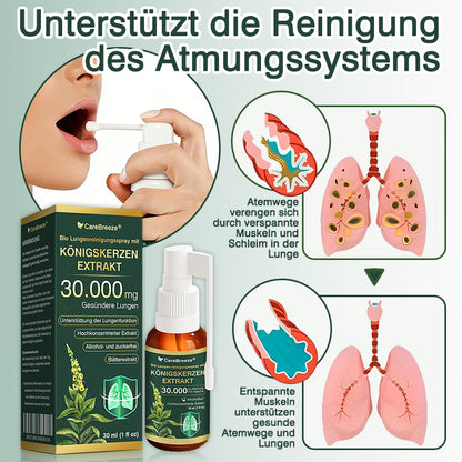 🫁⚡✅DE Offizieller Store: CareBreeze® Bio Lungenreinigungsspray mit Königskerzen-Extrakt（👨‍⚕️Wirkt direkt bei COPD, Asthma, chronischer Bronchitis (CB), Atemwegsinfektionen, Lungenkrebs, Sinusitis und anderen Erkrankungen）