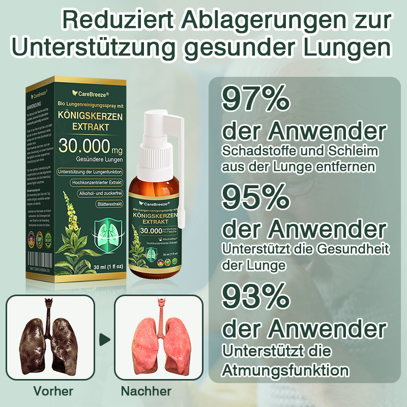 💖✅DE Offizieller Store: CareBreeze® Bio Lungenreinigungsspray mit Königskerzen-Extrakt（👨‍⚕️Wirkt direkt bei COPD, Asthma, chronischer Bronchitis (CB), Atemwegsinfektionen, Lungenkrebs, Sinusitis und anderen Erkrankungen）
