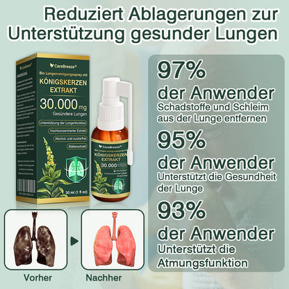 🫁⚡✅DE Offizieller Store: CareBreeze® Bio Lungenreinigungsspray mit Königskerzen-Extrakt（👨‍⚕️Wirkt direkt bei COPD, Asthma, chronischer Bronchitis (CB), Atemwegsinfektionen, Lungenkrebs, Sinusitis und anderen Erkrankungen）