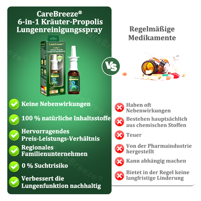 ⚡🇩🇪 Offizieller Store：CareBreeze® 6-in-1 Kräuter-Propolis Lungenreinigungsspray-Feinzerstäubung(⚡Sofortige Linderung🫁Langzeitwirkungen)