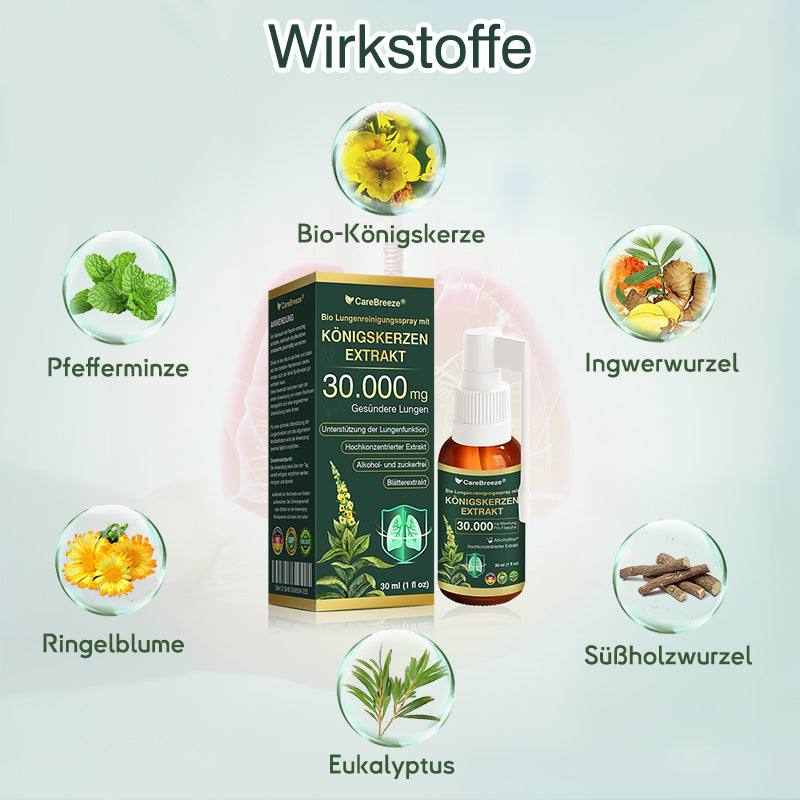 💖✅DE Offizieller Store: CareBreeze® Bio Lungenreinigungsspray mit Königskerzen-Extrakt（👨‍⚕️Wirkt direkt bei COPD, Asthma, chronischer Bronchitis (CB), Atemwegsinfektionen, Lungenkrebs, Sinusitis und anderen Erkrankungen）